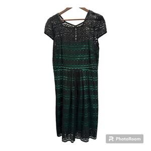 SD Collection Women’s Lace Dress Short Sleeve Back Zipper Black Green 14